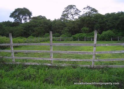 Image of lot number 1 in San Jacinto, Ecuador