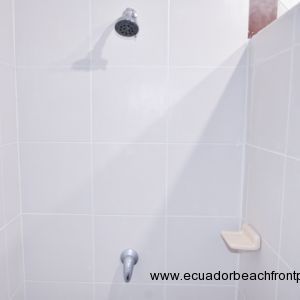 Master ensuite with walk-in shower