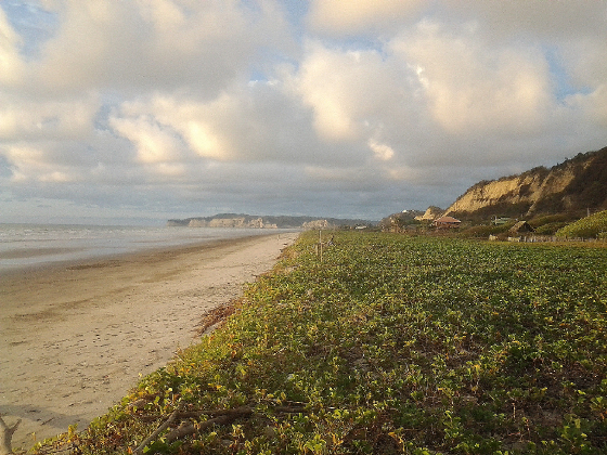 Beachfront condo for sale in Ecuador