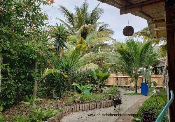 Tropical landscaping on this 0.6 beachfront property