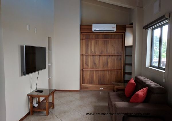 2nd bedroom is outfitted with a murphy bed, flat screen tv, loveseat