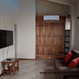 2nd bedroom is outfitted with a murphy bed, flat screen tv, loveseat