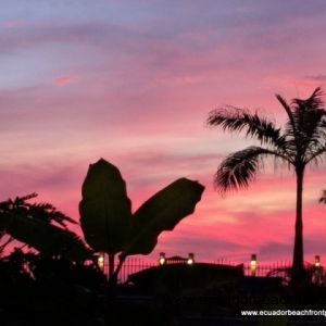 Beautiful sunsets