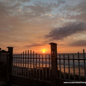 Sunset view 