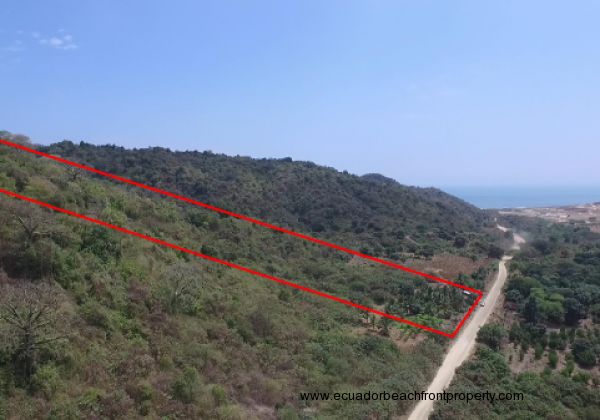 Pajonal Bahia Land1
