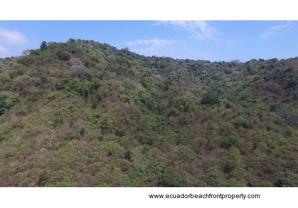 Pajonal Land (1)