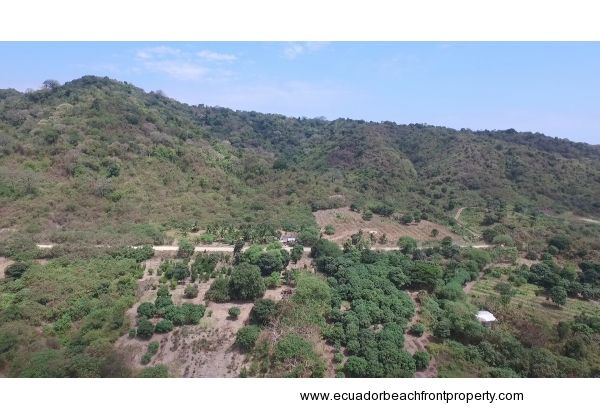 Pajonal Land (2)