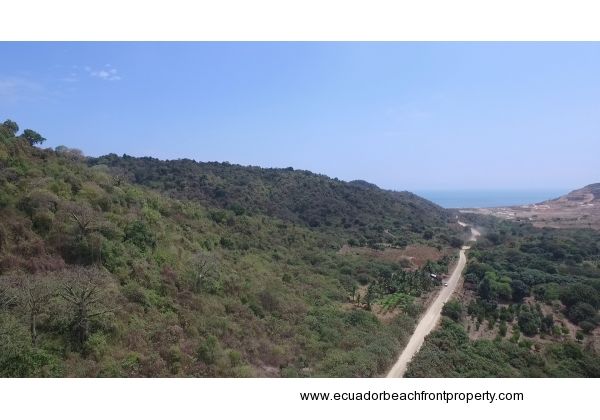 Pajonal Land (3)