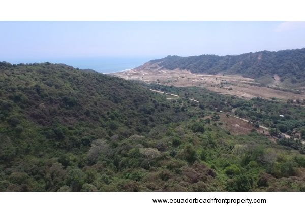 Pajonal Land (4)