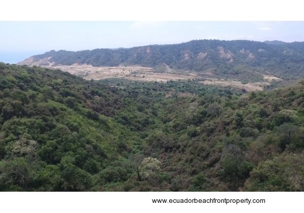 Pajonal Land (5)