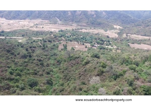 Pajonal Land (6)