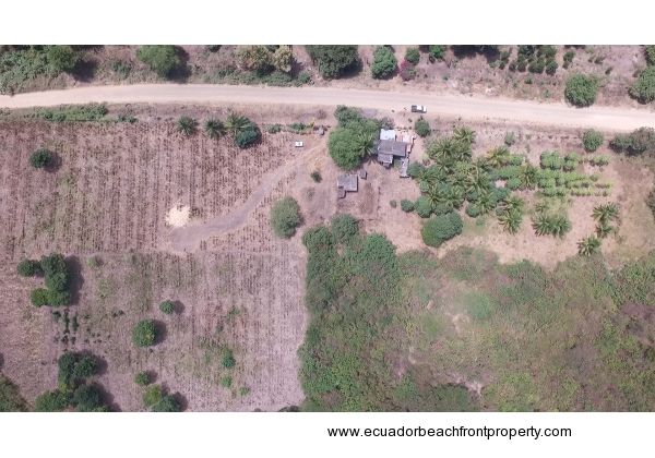 Pajonal Land (7)