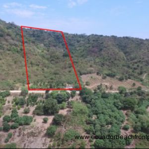 7.2 Hectare Ranch Land with Ocean Views