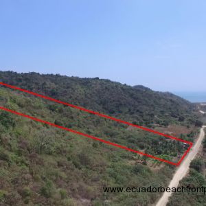 Pajonal Bahia Land1