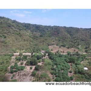 Pajonal Land (2)