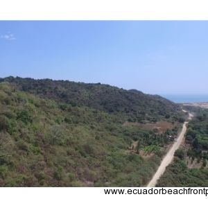 Pajonal Land (3)