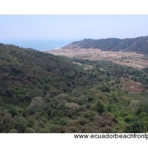 Pajonal Land (4)