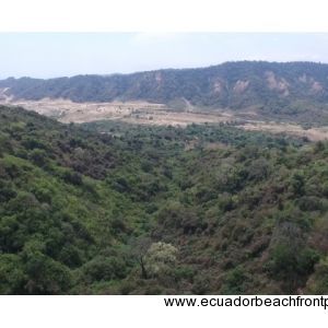 Pajonal Land (5)