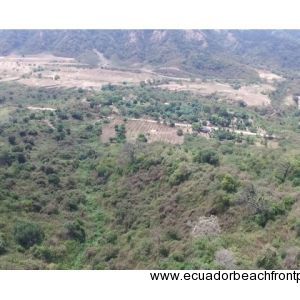 Pajonal Land (6)