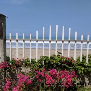 Beautiful sand beach is just steps away