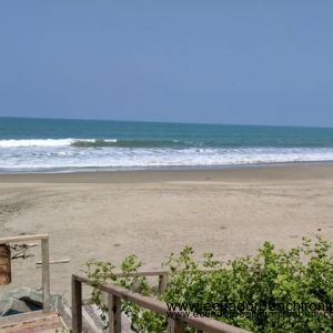 Direct beach access. Water is swimmable year round