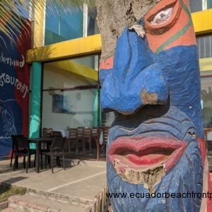 Canoa Ecuador Real Estate (5)