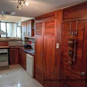 Kitchen pantry for additional storage