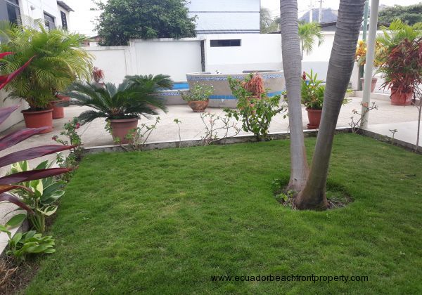 The lawn and gardens with the pool on the other side if the patio.