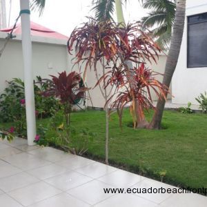 The mature, well kept gardens beside the pool area.