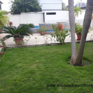 The lawn and gardens with the pool on the other side if the patio.
