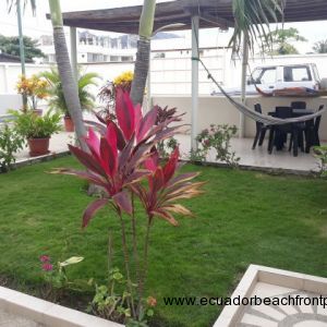 A covered patio where you can enjoy relaxing in a hammock in the shade.