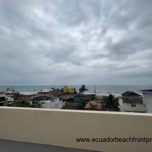 Mirasol #4 49