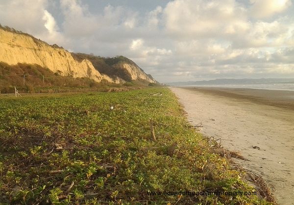 1/2 acre (2000 sq m) of prime beachfront lot ready for construction.