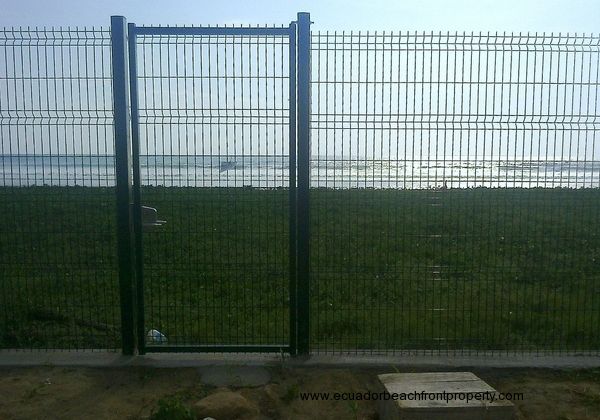 The vegetated dunes in front in addition to the recently constructed sea wall provide protection against coastal erosion