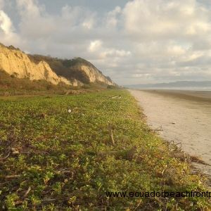 1/2 acre (2000 sq m) of prime beachfront lot ready for construction.