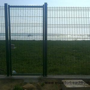 The vegetated dunes in front in addition to the recently constructed sea wall provide protection against coastal erosion