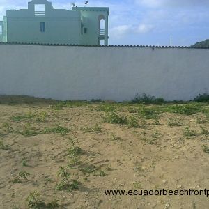 Other development projects have been successful in the immediate area 