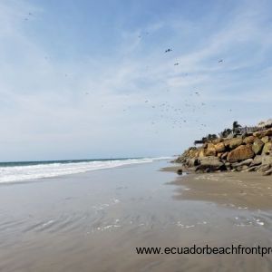Sandy Bottoms Beachfront Lot