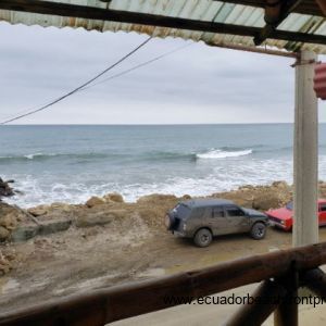 bamboo structure views