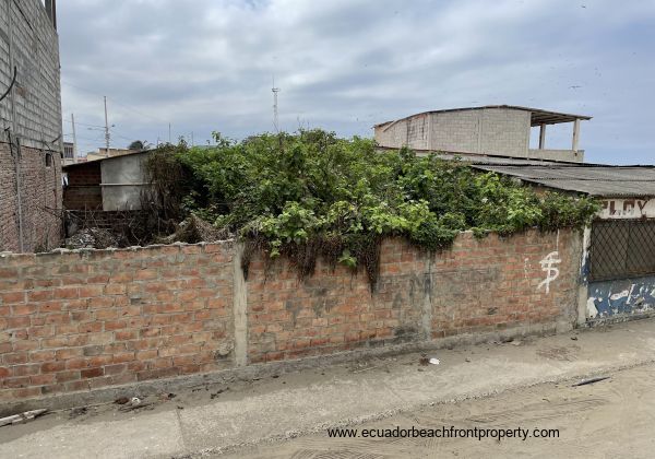 brick wall around property