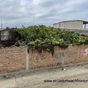 brick wall around property