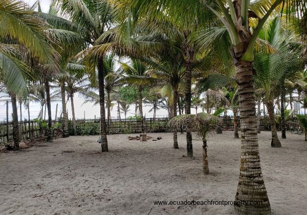 Beachfront hotel for sale in Ecuador