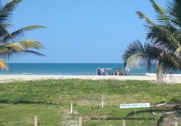 Sand beach, warm surfable water, and palms