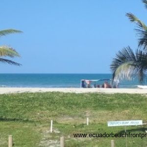 Sand beach, warm surfable water, and palms