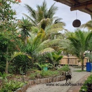 Tropical landscaping on this 0.6 beachfront property