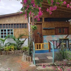 bamboo and bougainvillea