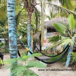 time to hammock under the palms