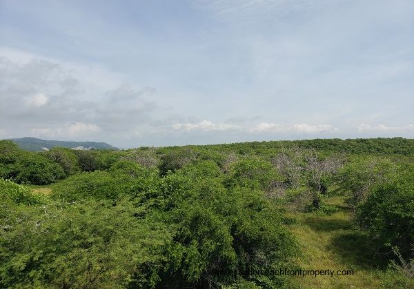 Land for sale near the beach in Ecuador