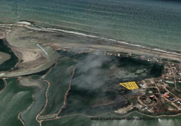 Location of the parcels relative to the ocean, mangrove reserve and the river