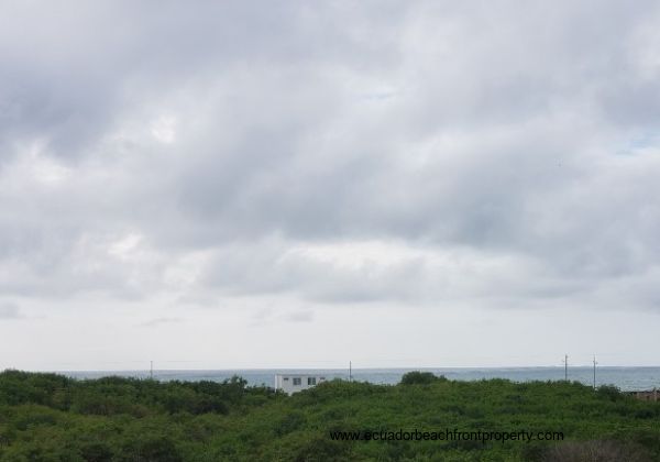 Views over the mangroves towards the ocean